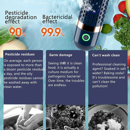 Advanced Vegetable Disinfection Machine