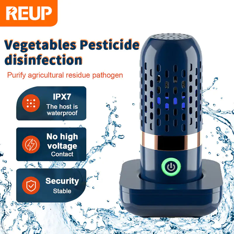 Advanced Vegetable Disinfection Machine